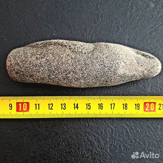 Голова окаменевшей рептилии Миллион лет назад