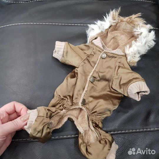 Одежда для маленькой собаки