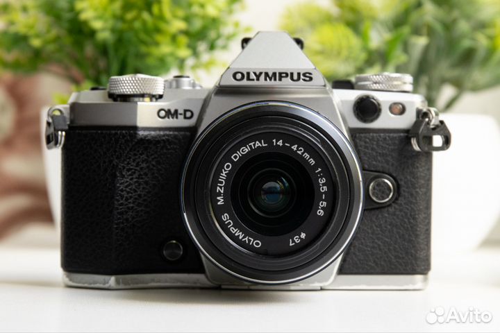 Olympus OM-D E-M5 Mark II Kit