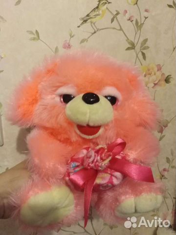 Собака новая музыкальная