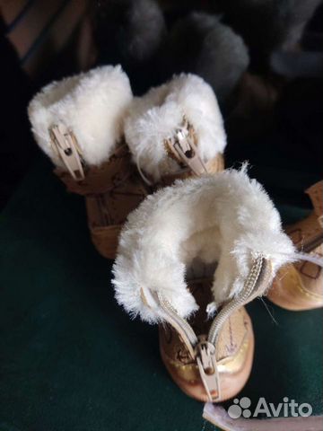 Сапоги для собак мелкой породы