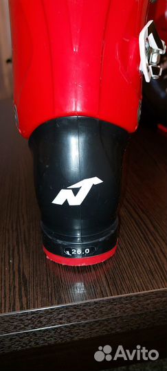 Горнолыжные ботинки