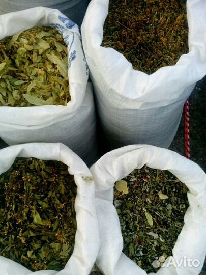 Травы,сборы