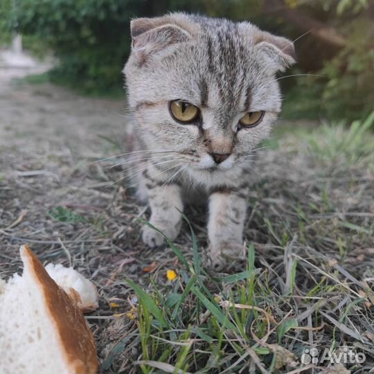 Вывезли на верную смерть