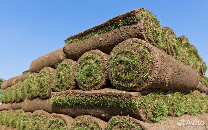 Паллеты газона рулонного