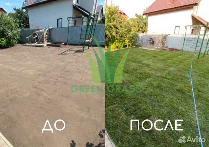 Рулонный газон под ключ