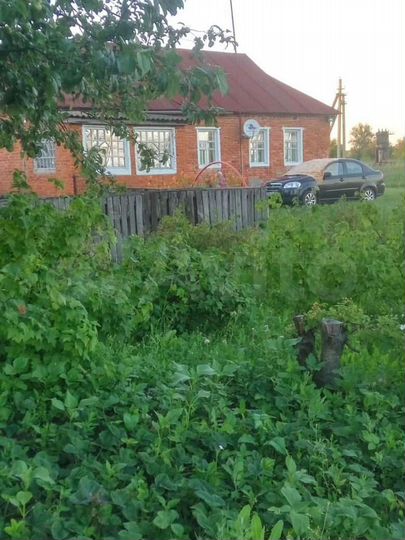 Дом 59,9 м² на участке 38 сот.