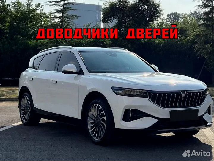 Доводчики дверей Voyah Free 2021-2023