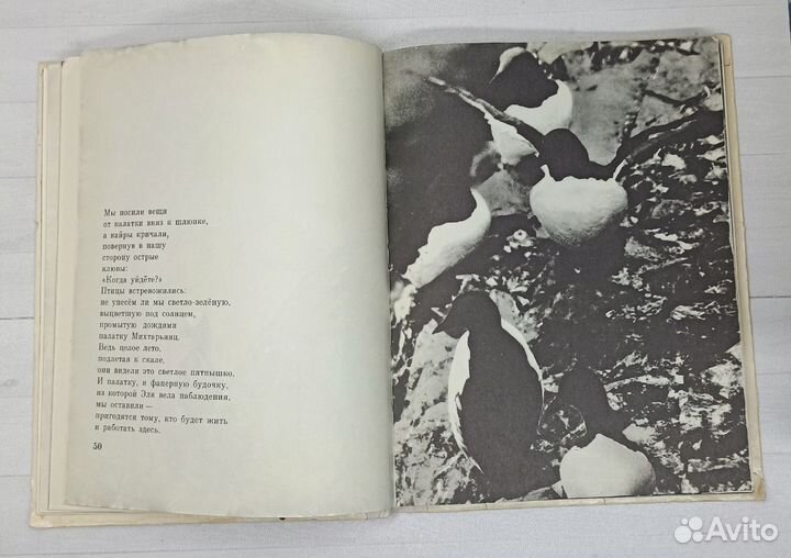 С.Сахарнов Слоны на асфальте 1979