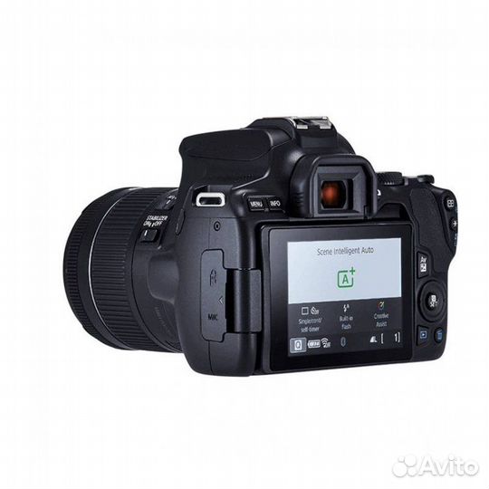 Зеркальный фотоаппарат Canon EOS 250D Kit EF-S 18