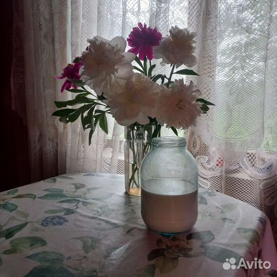 Козье молоко