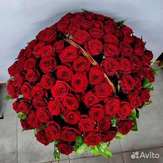 101 роза в корзине