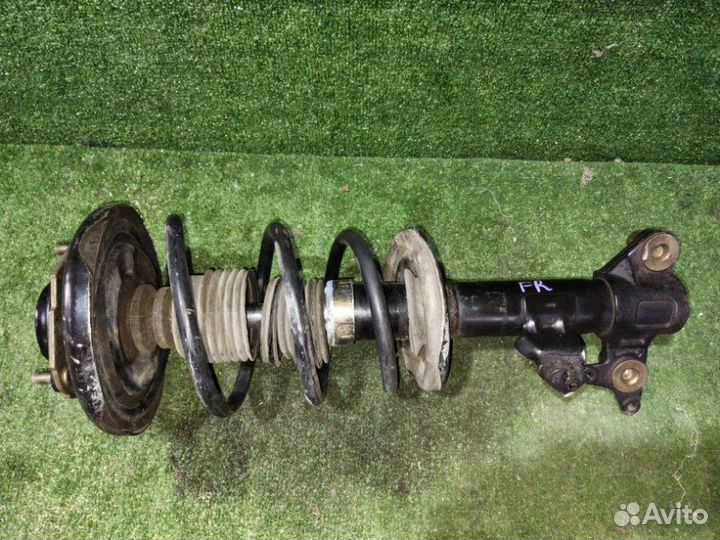 Стойка подвески передняя правая Nissan Primera