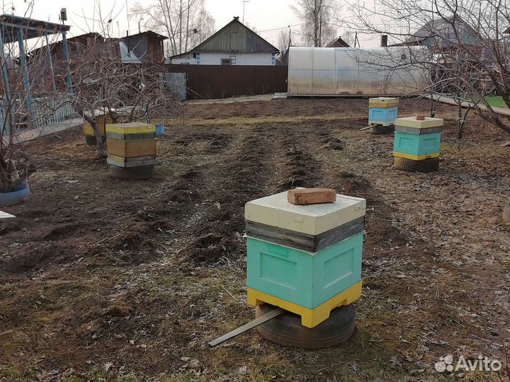 Инструмент пчеловода, сушь, рамки