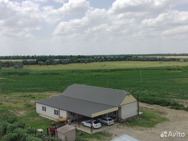 Животноводчекая ферма