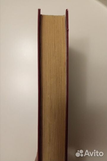 Элис Сиболд 