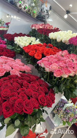 Роза цветы букеты