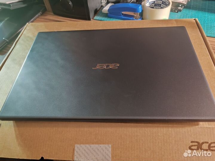 Acer extensa 15