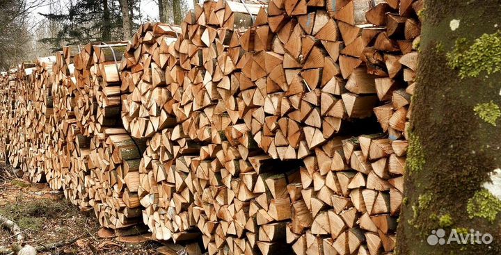 Дрова с Зеленогорска