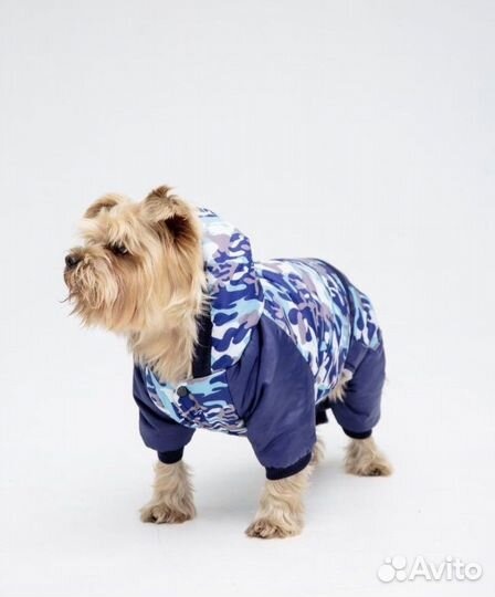 Новый комбинезон зимний для собак