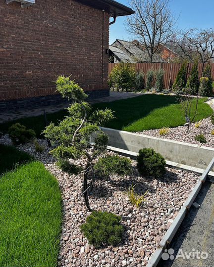 Декоративная галька