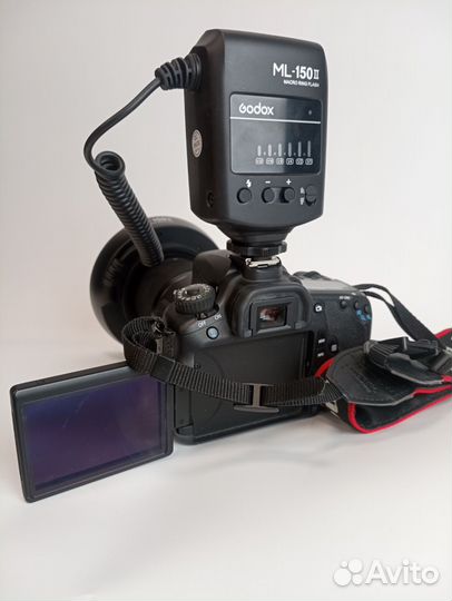 Макро Canon 60D+Sigma 70mm/2.8+вспышка