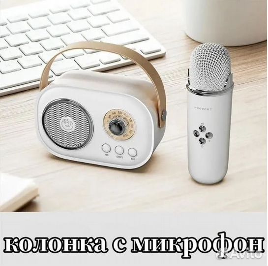 Портативная колонка с микрофоном караоке