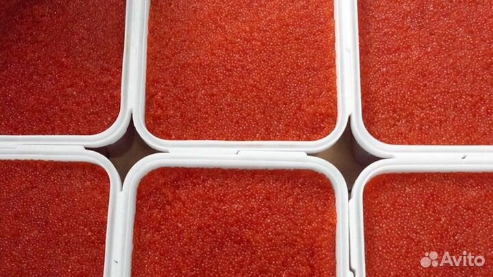 Красная икра горбуши