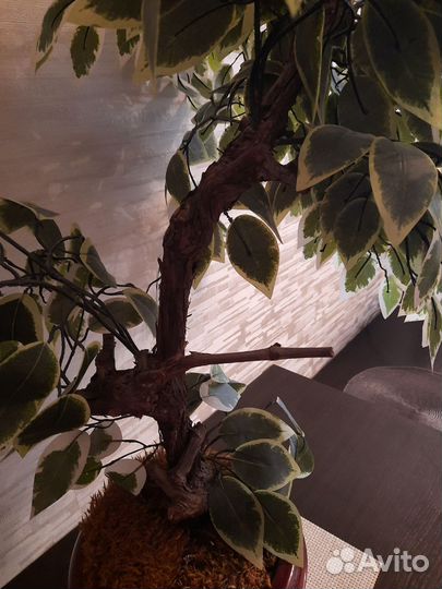 Фикус бенджамина искусственный