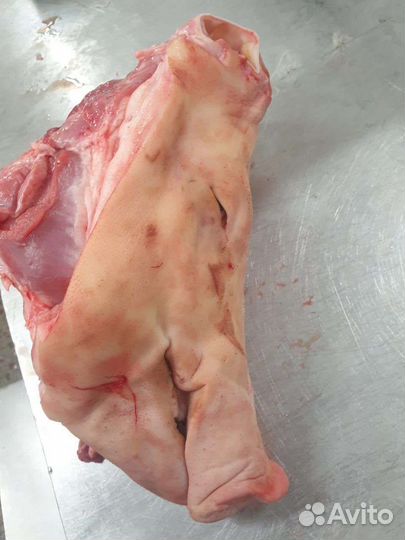 Головы свиные