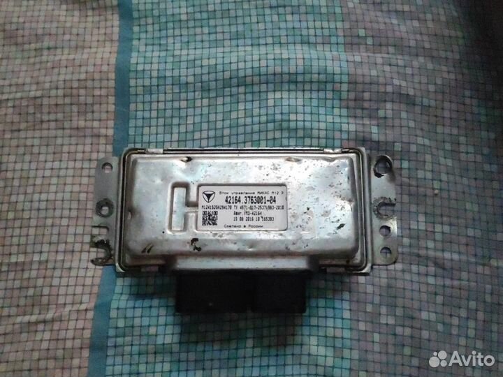 Мозги эбу на газель