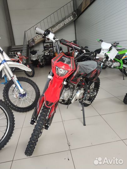Питбайк Regulmoto seven medalist PRO 17/14
