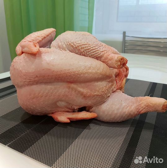 Курица