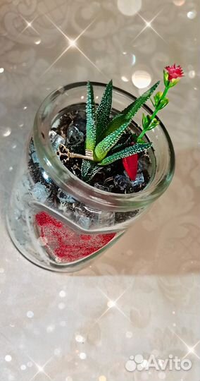 Флорариум на 14 февраля. День Влюблённых