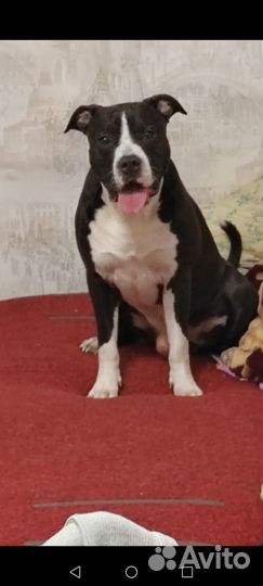 Ищем подружку