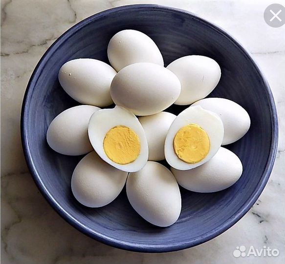 Домашние куриные яйца