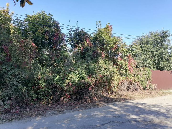 Участок 3,8 сот. (ИЖС)