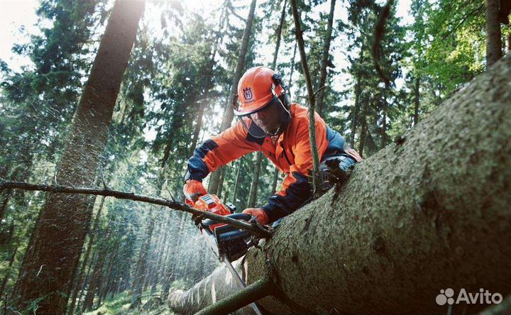 Вальщики леса