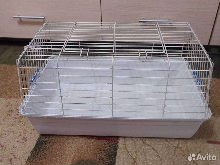 Клетки для морской свинк