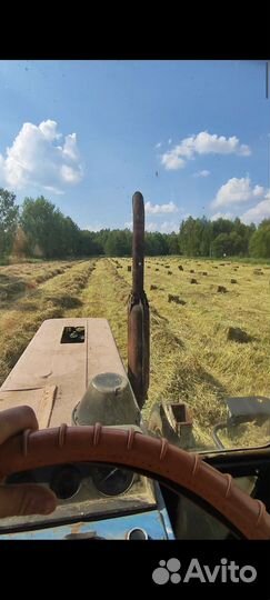 Сено В тюках кипах 2024