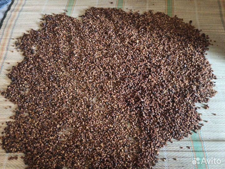 Перга пчелиная