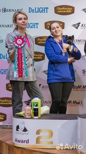 Услуги грумера/стрижка животных