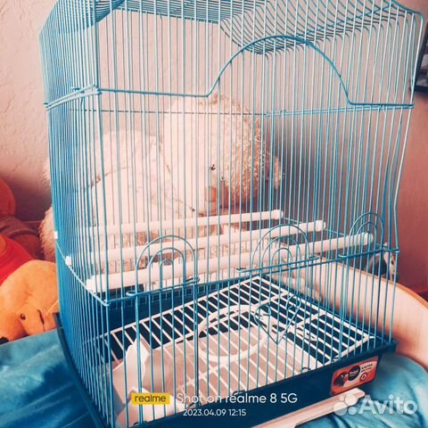 Клетка для попугая