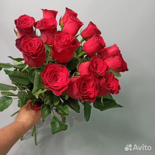 Цветы розы Букет 15 роз