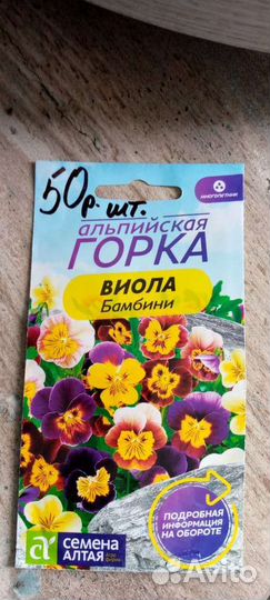 Саженцы Виолы много летние