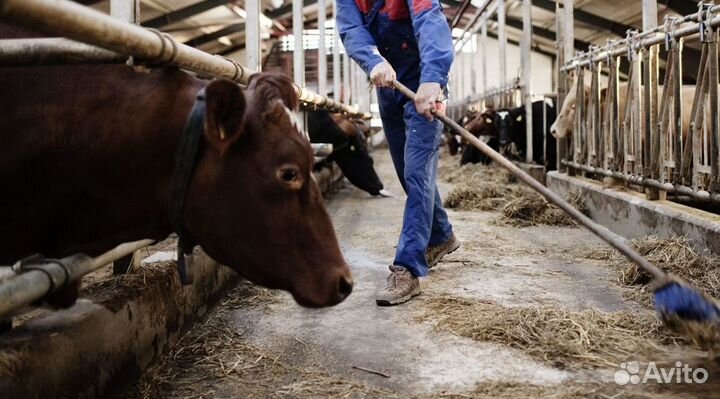 Разнорабочий Вахта питание + проживание