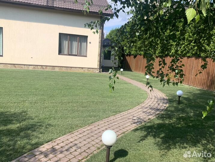 Рулонный газон 