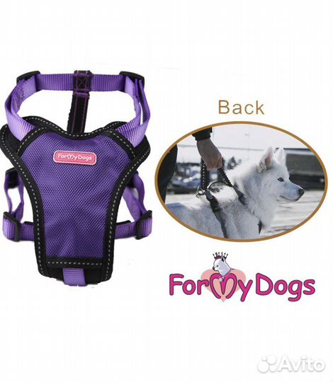 Шлейка для собаки