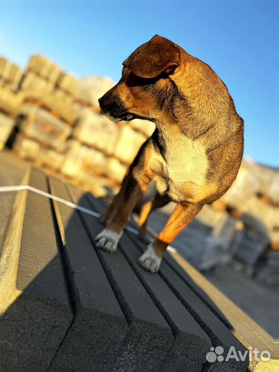 Тротуарная плитка ГОСТ