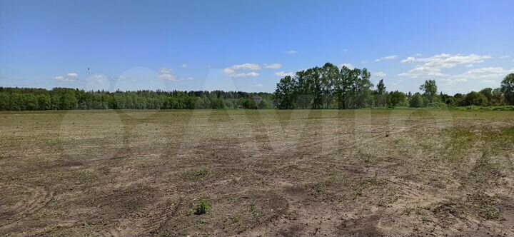 Участок 6 сот. (ИЖС)